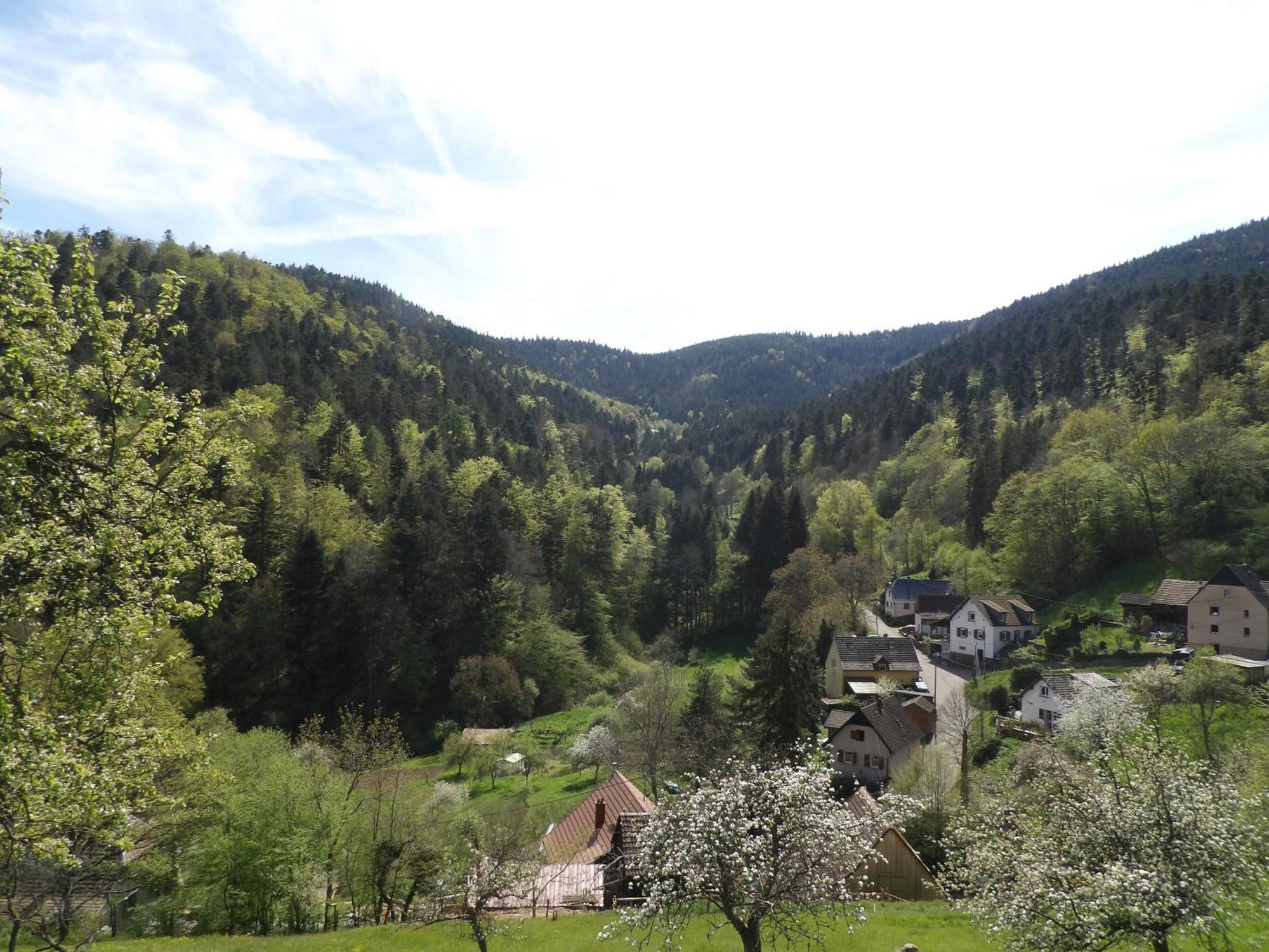 Studio A Murbach Au Calme エクステリア 写真